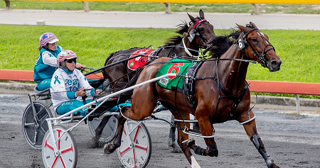 gdwon333 harness horse racing